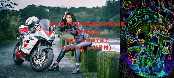 шишки Гусиноозёрск